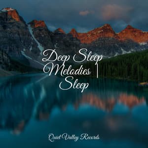 Deep Sleep Melodies | Sleep - Nature Sounds XLE Library