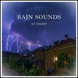 Rain Sounds at Night - Rain Sounds & Nature Sounds
