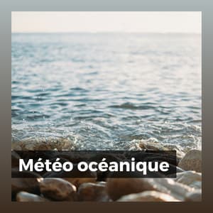 Météo océanique - Vagues Dans La Mer