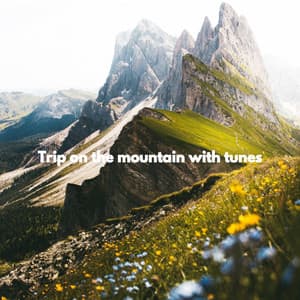 Trip on the mountain with tunes - Morning Coffee Playlist