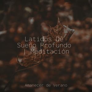Latidos De Sueño Profundo | Meditación - Chakra Balancing Sound Therapy