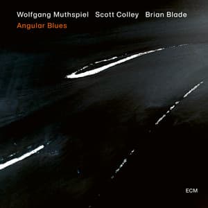 Angular Blues - Wolfgang Muthspiel
