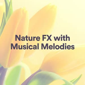Nature Fx with Musical Melodies - Sound FX of Nature