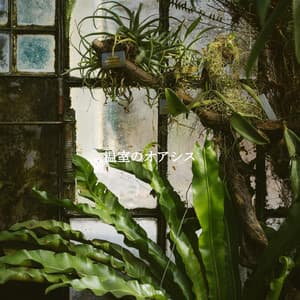 温室のオアシス - Jazz & Study Playlist