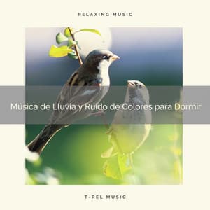Música de Lluvia y Ruido de Colores para Dormir - Ruido Blanco