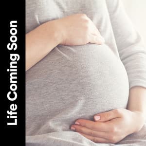 Life Coming Soon - Womb Sound