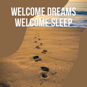 1 Welcome Dreams Welcome Sleep vol. 3 - Calm Sea Sounds