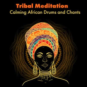 Tribal Inner Silence - Elliot Woods