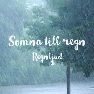 Somna till regn - Regnljud