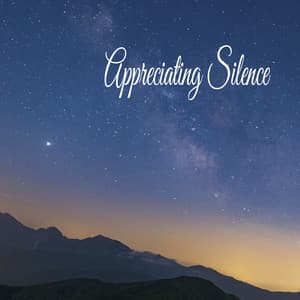 Appreciating Silence - Music For Absolute Sleep