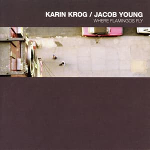 Where Flamingos Fly - Karin Krog