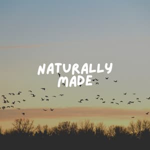 Naturally Made - Cricket Sounds
