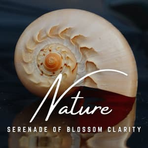 Mountain Mindfulness: Concentration at Altitude - Tropical Bliss