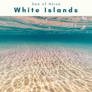 2022 White Islands - Sea of Noise