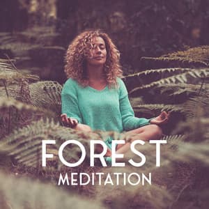 Forest Meditation: Peaceful Nature Sounds for Meditation - Forest Hills Music Universe
