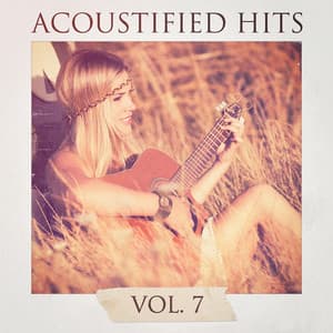 Acoustified Hits, Vol. 7 - 60's 70's 80's 90's Hits