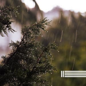 Nachtregen - Sanfte Regengeräusche