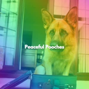 Peaceful Pooches - Chill Jazz
