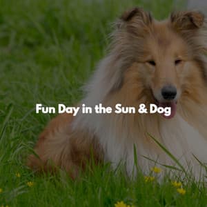 Fun Day in the Sun & Dog - BBQ Jazz