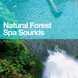 Natural Forest Spa Sounds - Spa Music