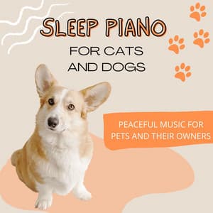 Sleep Piano for Cats and Dogs: Peaceful Music for Pets and their Owners - Piano Shades
