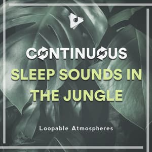 Continuous Sleep Sounds in the Jungle - Loopable Atmospheres