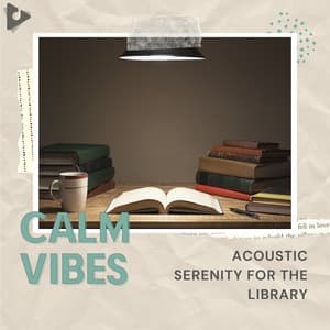 Acoustic Serenity for the Library - Calm Vibes