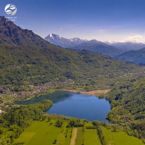 Piano in Nature's Embrace - Zambezi Sounds