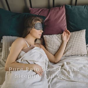 Pure Rain Sounds Fast Sleeping Aid Vol. 1 - JBE Nature Sounds
