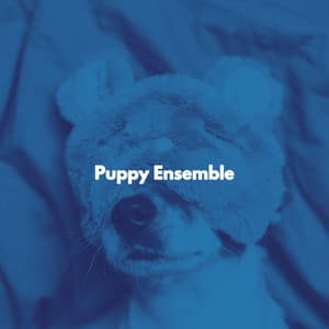 Puppy Ensemble - Dinner Music Luxury