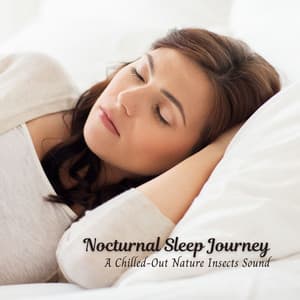 Nocturnal Sleep Journey: A Chilled-Out Nature Insects Sound - HD Nature Sound Library