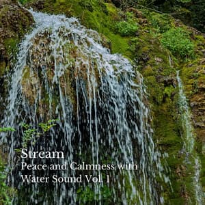 Stream: Peace and Calmness with Water Sound Vol. 1 - Deep Sleep Relaxation
