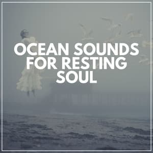 Ocean Sounds for Resting Soul - Ocean Sounds Plus