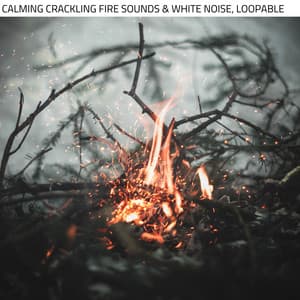 Calming Crackling Fire Sounds & White Noise, Loopable - Fire Sounds