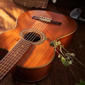 Strings of Harmony: Peaceful Guitar Music - Soothing Relaxation Acoustic Guitar in Nature