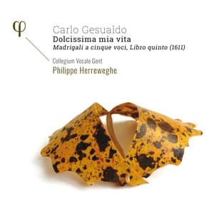 Gesualdo: Dolcissima mia vita. Madrigali a cinque voci, Libro quinto - Carlo Gesualdo