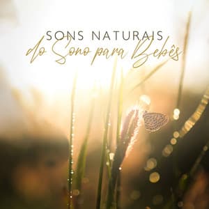 Sons Naturais do Sono para Bebês - Música Mágica para Bebês de Sono