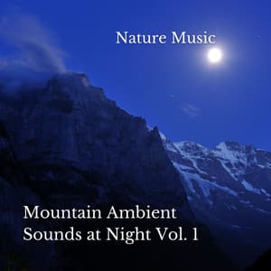 Nature Music: Mountain Ambient Sounds at Night Vol. 1 - Natures Acoustics