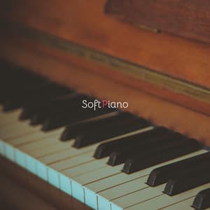 Soft Piano Music for Relaxation, Sleep, Study - Soft Piano