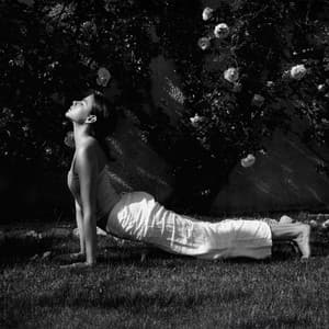 Embracing the Cosmic Flow, Yoga - Joga Relaxing Music Zone