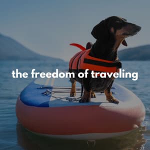 Amazing Traveling Time - Brazilian Jazz Deluxe