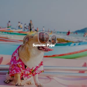 Summer Pups - Java Jazz Cafe