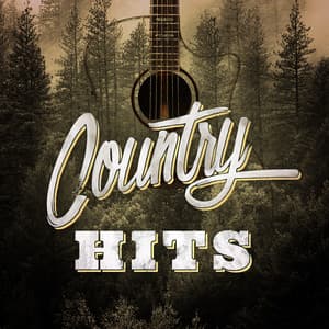 Country Hits - Country Hit Superstars
