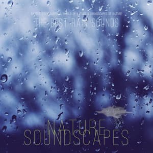 The Best Rain Sounds - Nature Soundscapes