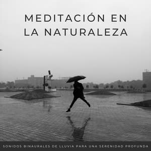 Meditación En La Naturaleza: Sonidos Binaurales De Lluvia Para Una Serenidad Profunda - Lluvia del Pacifico