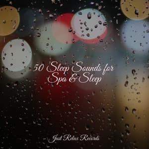 50 Sleep Sounds for Spa & Sleep - New Age