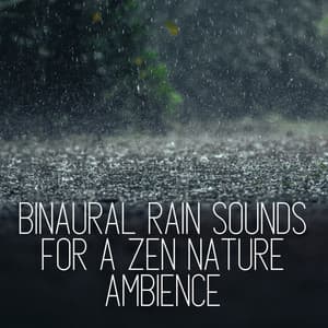 Binaural Rain Sounds for a Zen Nature Ambience - Binaural State