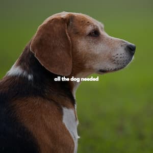 all the dog needed - Cool Cats 1940s Jazz