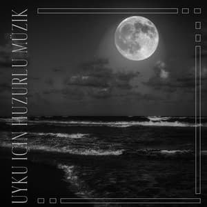 Uyku için huzurlu müzik - Uyku frekansı - Hassas sesler - Bebek Uyku Ninnileri