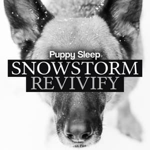 Snowstorm Revivify - Puppy Sleep